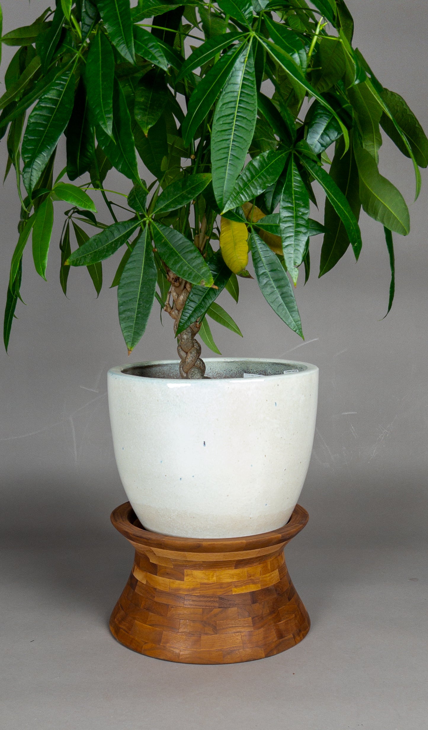 segmented plant stand